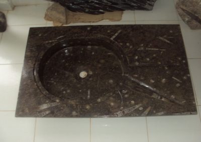 Black marble basin with fossils